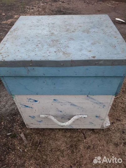 Продам ульи дадан