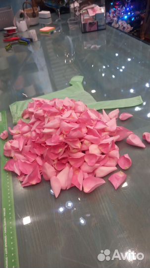 Лепестки роз свежие