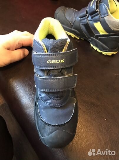 Утепленные ботинки geox р.31