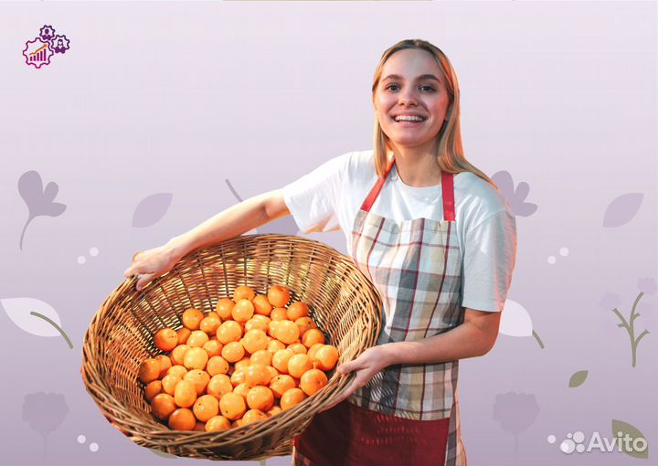 Сотрудник на выкладку товара г. Вологда