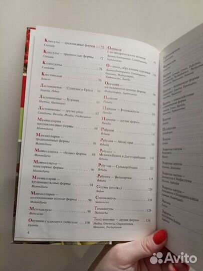 Атлас-опред. Кактусы и другие суккуленты. Семёнов