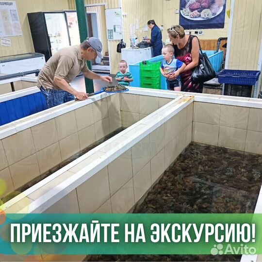 Печень трески в стекле