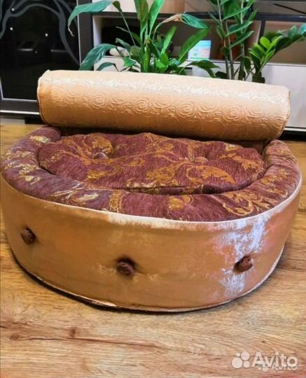 Домик и лежаки