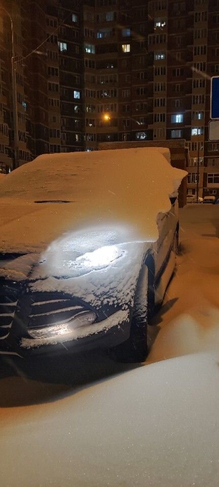 Ford Kuga: фото владельца