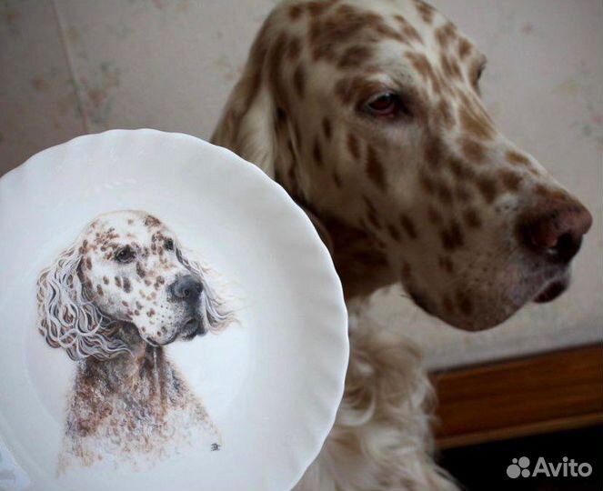 Портрет питомца по фотографии на тарелке