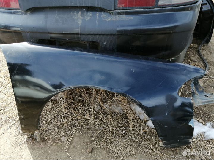 Крылья передние на Марино