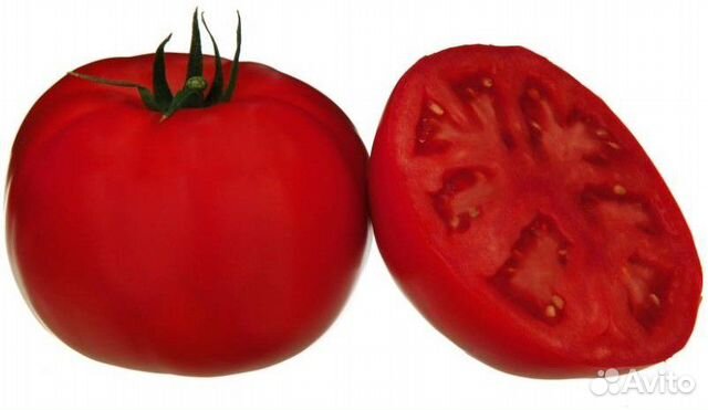 Семена Томата 