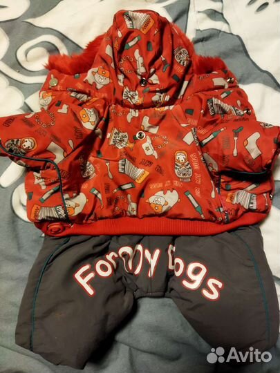 Костюм для маленькой собачки