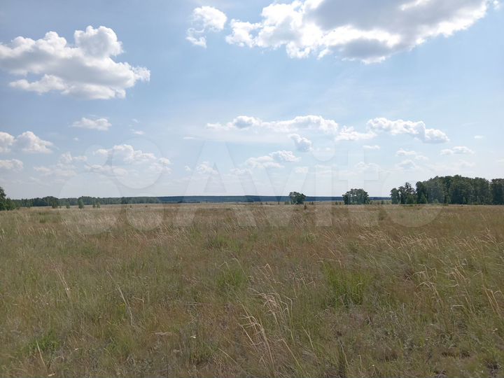 Участок 47 га (СНТ, ДНП)