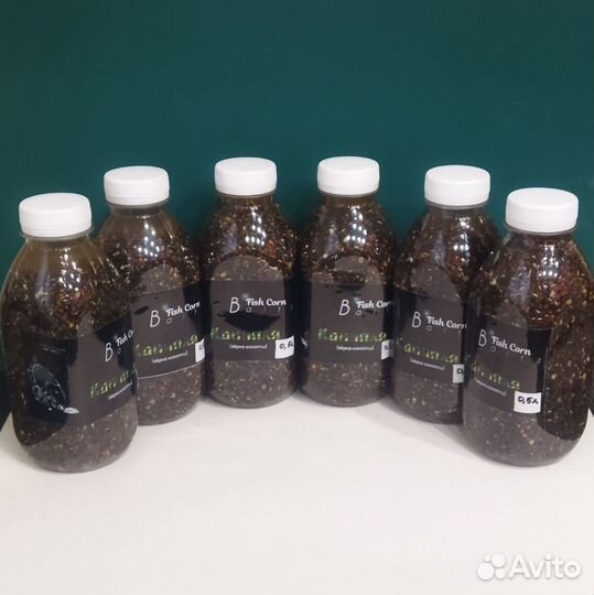 Семена для закорма рыбы