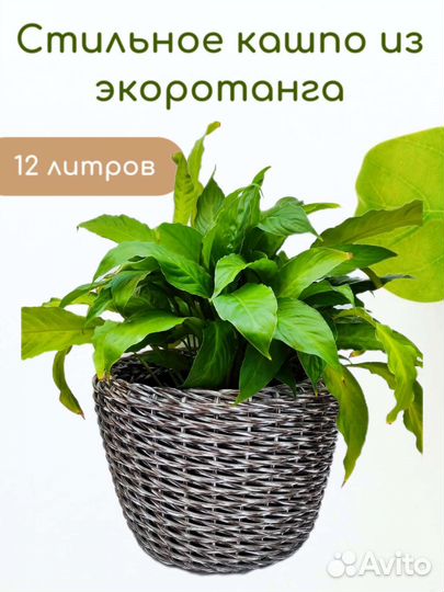 Кашпо из ротанга