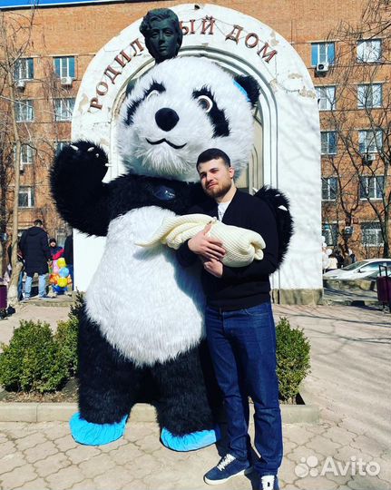 Белый Медведь, Аниматор Мишка, Панда