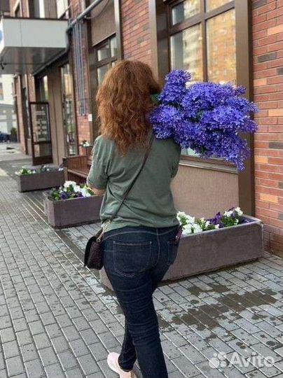 Искусственные цветы сирень чудоцв силикон приехала