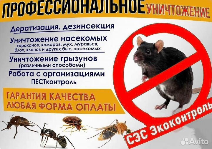 Обработка от клопов, клещей, кротов, комаров, крыс