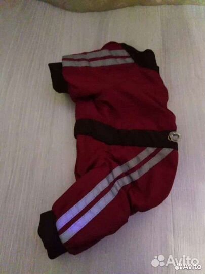 Комбинезон для маленькой собачки