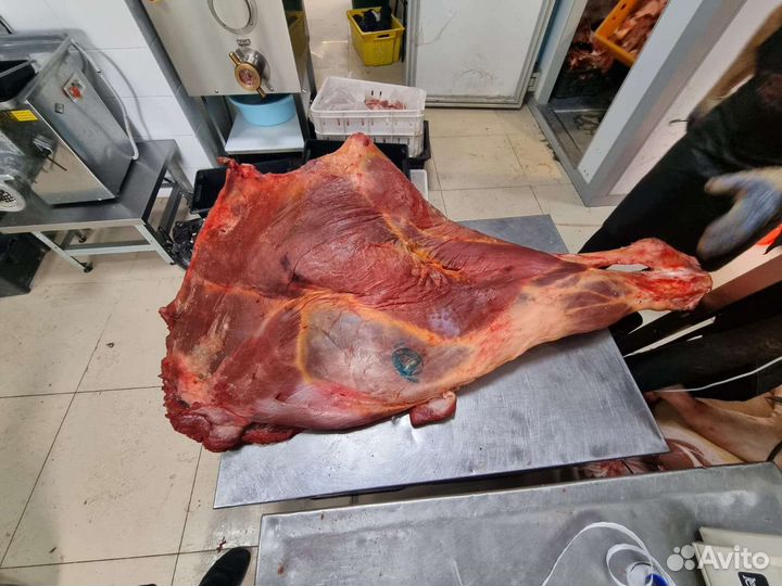 Телятина задняя часть