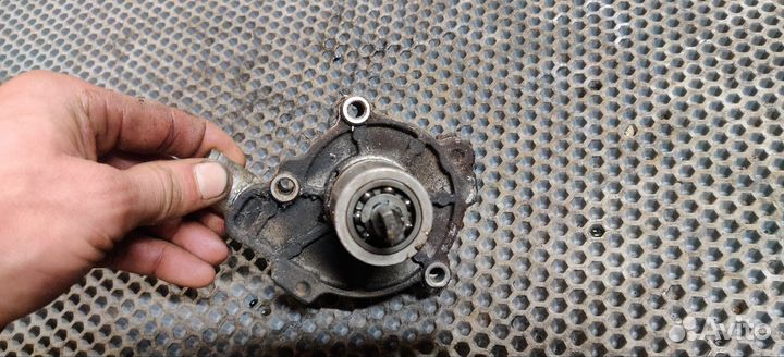 Помпа бандит 250