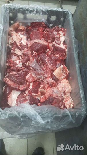 Мясо говядина 2 сорт