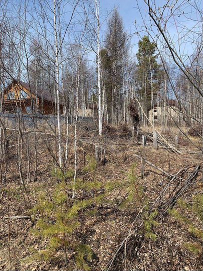 Участок 15 сот. (СНТ, ДНП)