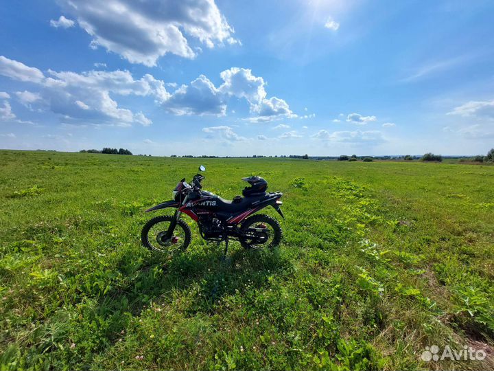 Avantis MT250