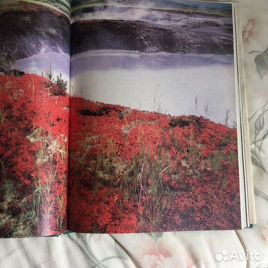 Книга Действующие вулканы Камчатки (том2)