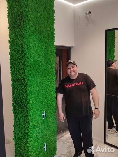 Стабилизированный мох, ягель, кочка, пласт, панно