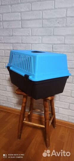 Аренда переноски для собак