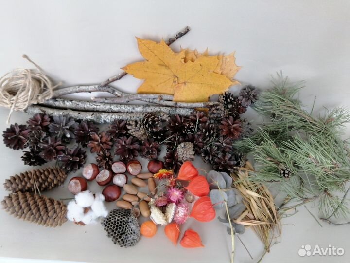Природный материал на поделки в школу сад