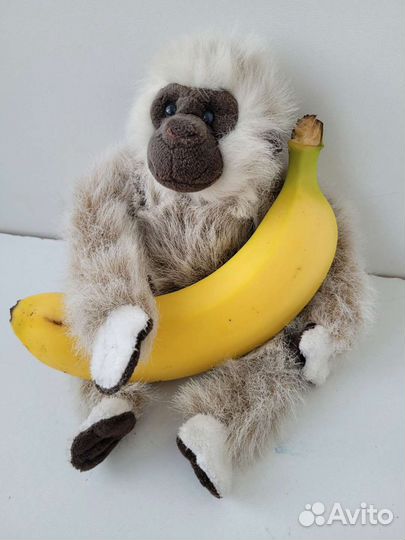 Обезьяна (Великобритания)