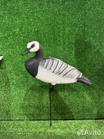 Чучела гусей Softplast 3D казарка (комплект 10шт)