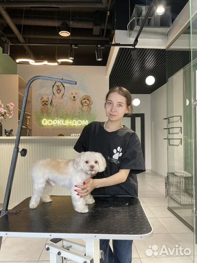 Модель на груминг