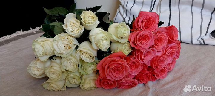 Цветы Розы и многое другое