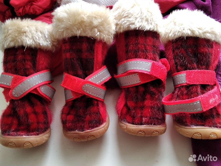 Одежда для маленькой собачки