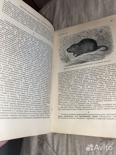 Книги жизнь животных