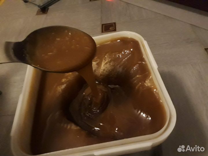 Мед алтайский 2022 года