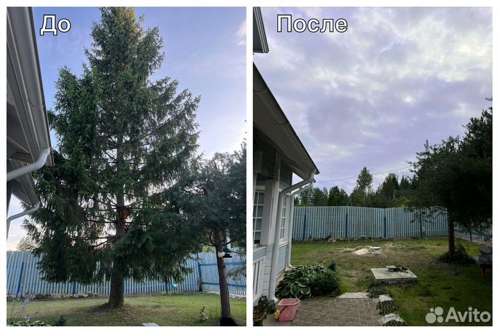 Удаление, обрезка, кронирование деревьев