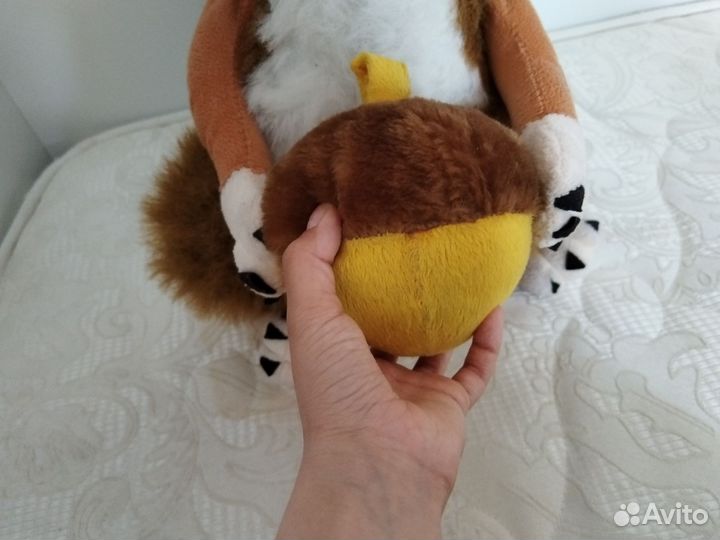 Белка из юрского периода