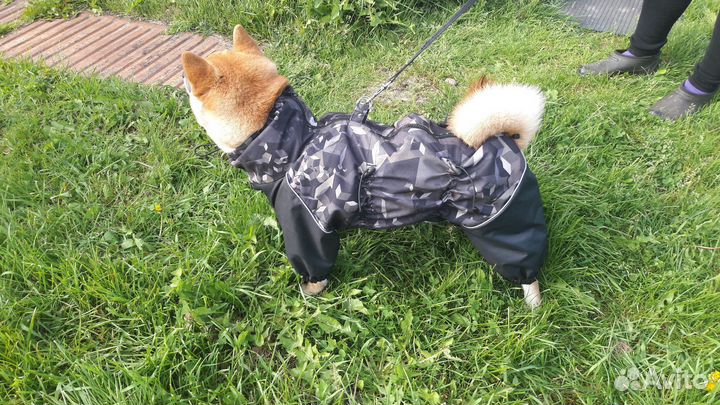 Комбинезон для средней собаки