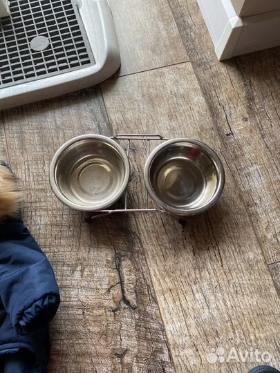 Лоток туалет для собак