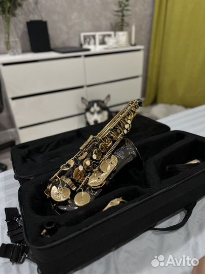 Саксофон альт ROY benson as-202k