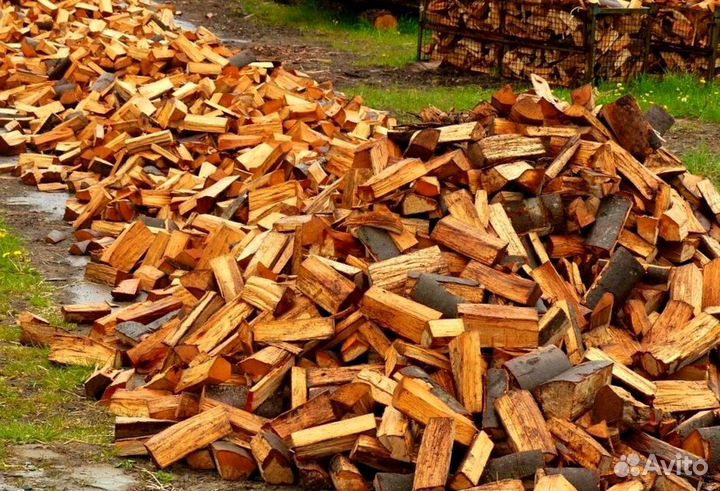 Дрова заготовителей дров