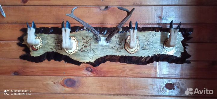 Вешалка настенная