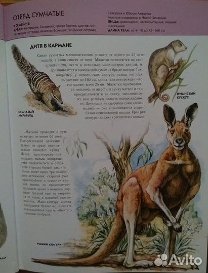 Животные. Полная энциклопедия