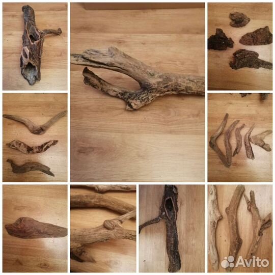 Дерево, топляк