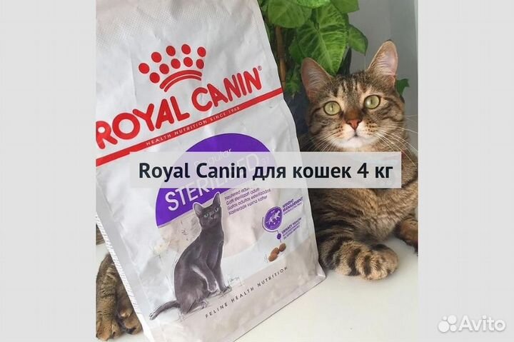 Kорм для кошек royal canin Royal Canin для кошек 4