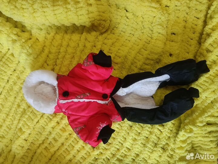 Одежда для маленьких собак