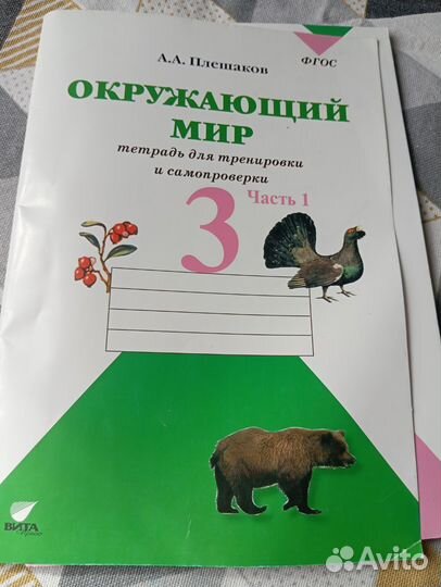 Учебники и рабочие тетради