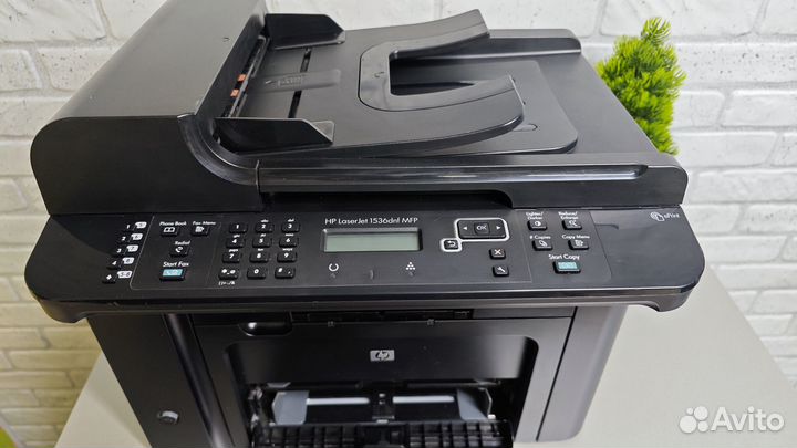 Мфу HP M1536dnf MFP