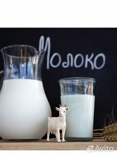 Козье молоко