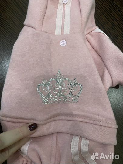 Комбинезон для маленькой собаки